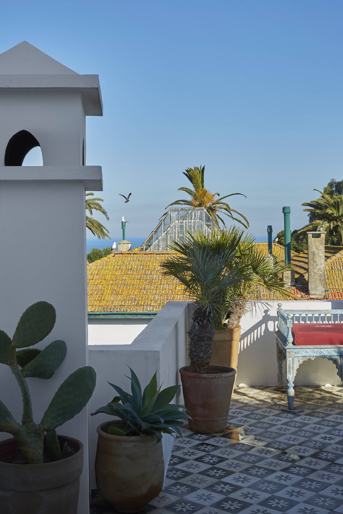 Nicolo Castellini Baldissera home in Tangier House & Garden
