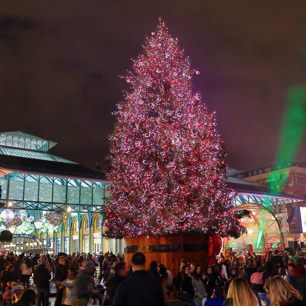 The best Christmas trees and lights in London House & Garden