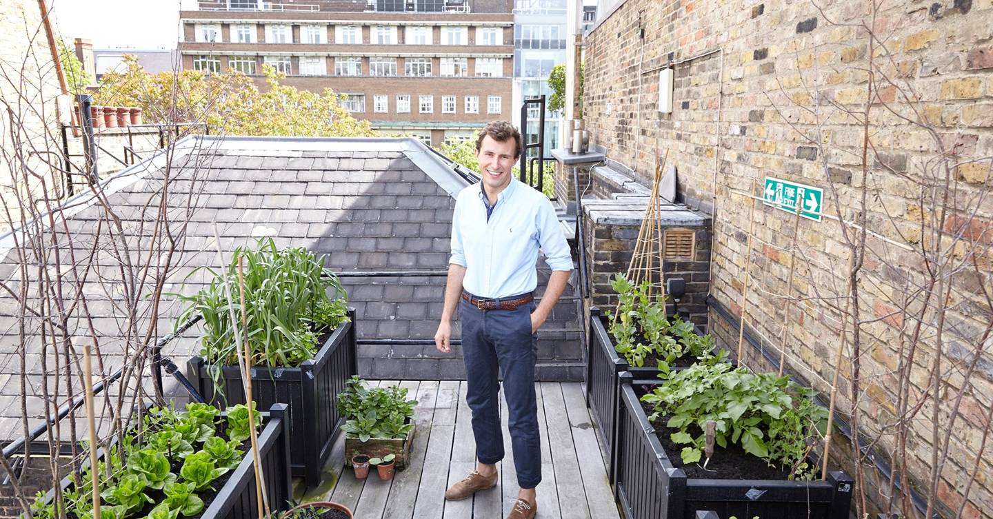 Balcony garden ideas  House & Garden