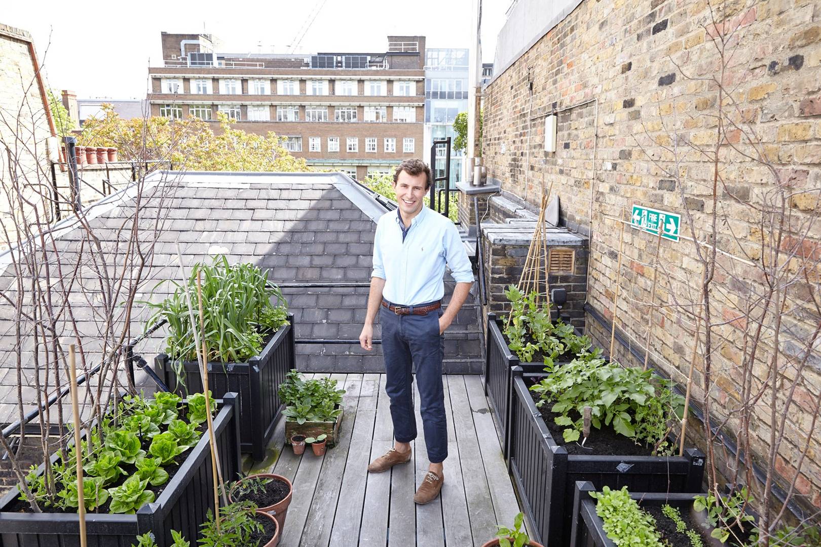 Balcony garden ideas  House & Garden