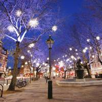 The Best Christmas Trees And Lights In London | House & Garden